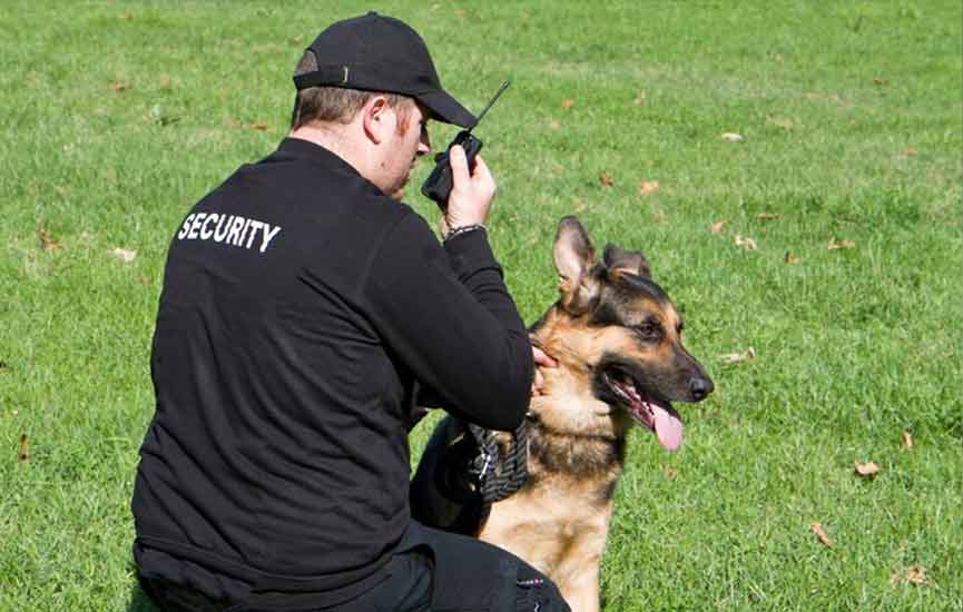 K9 Dog Handling